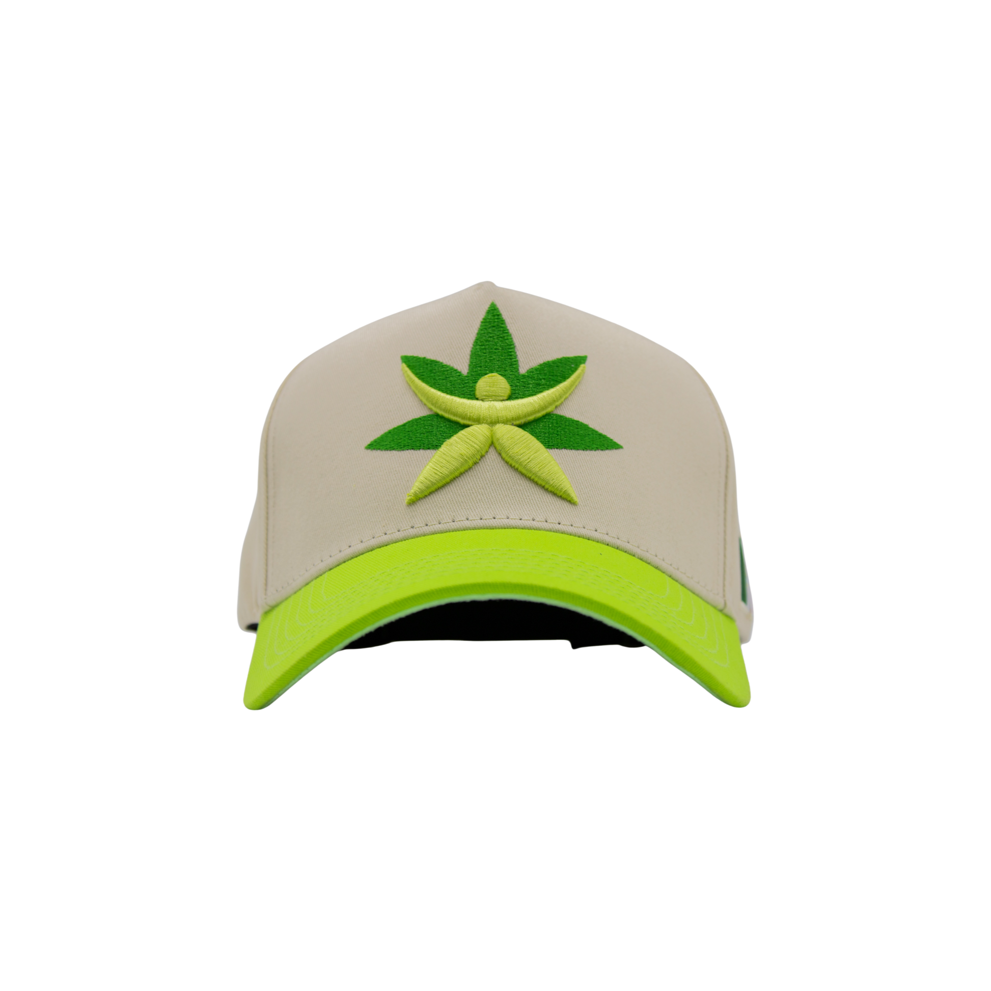 Gorra de Mtycaps en colaboración con Paradise