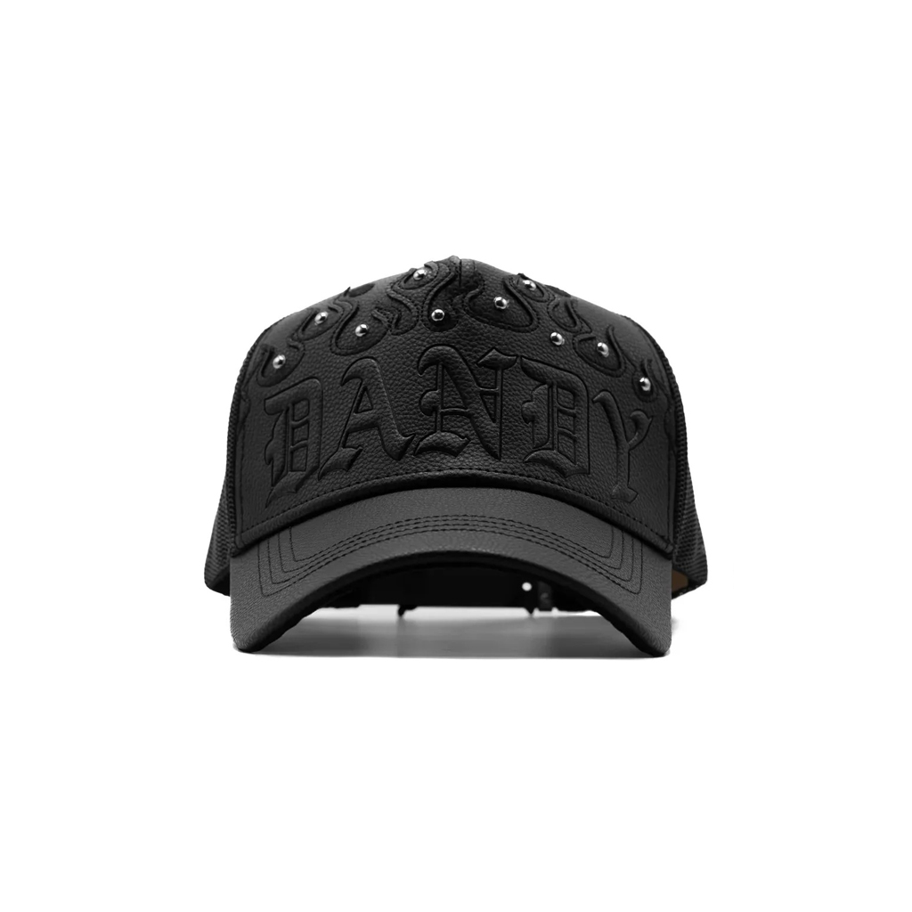 DANDY DID THIS - DANDY