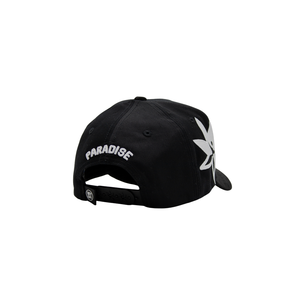 P BLACK - PARADISE X MTYCAPS