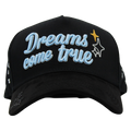DREAMS COME TRUE