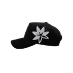 P BLACK - PARADISE X MTYCAPS