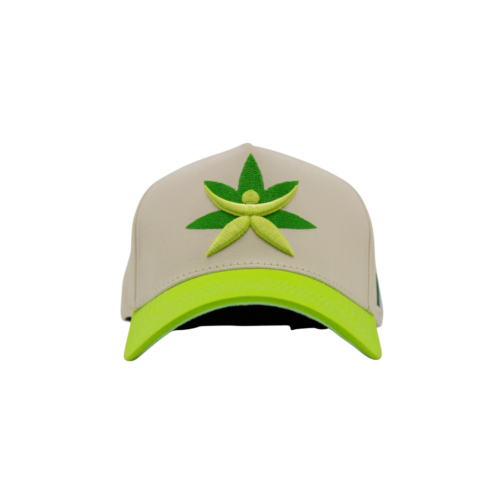 Gorra de Mtycaps en colaboración con Paradise