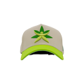 Gorra de Mtycaps en colaboración con Paradise