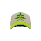 Gorra de Mtycaps en colaboración con Paradise