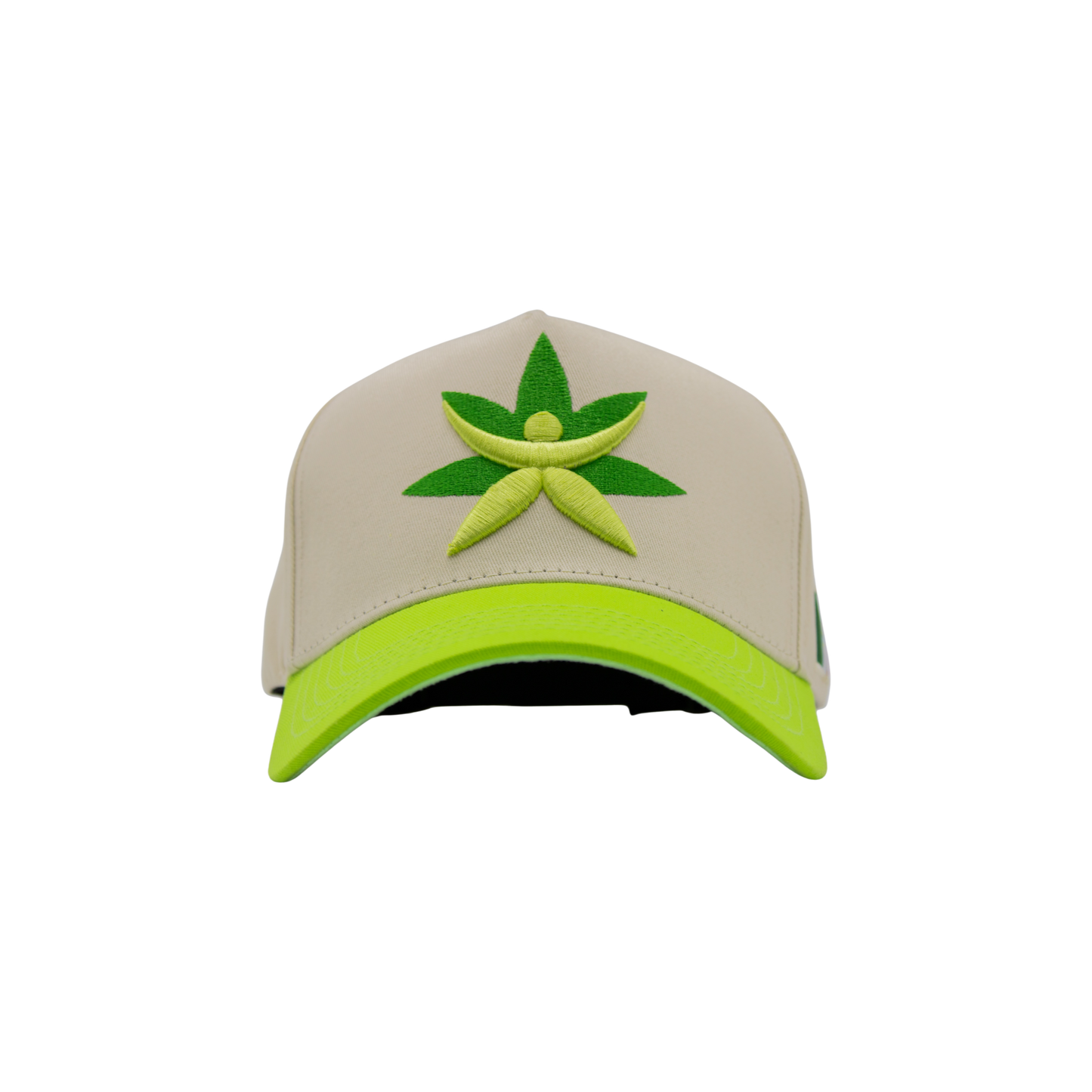 Gorra de Mtycaps en colaboración con Paradise