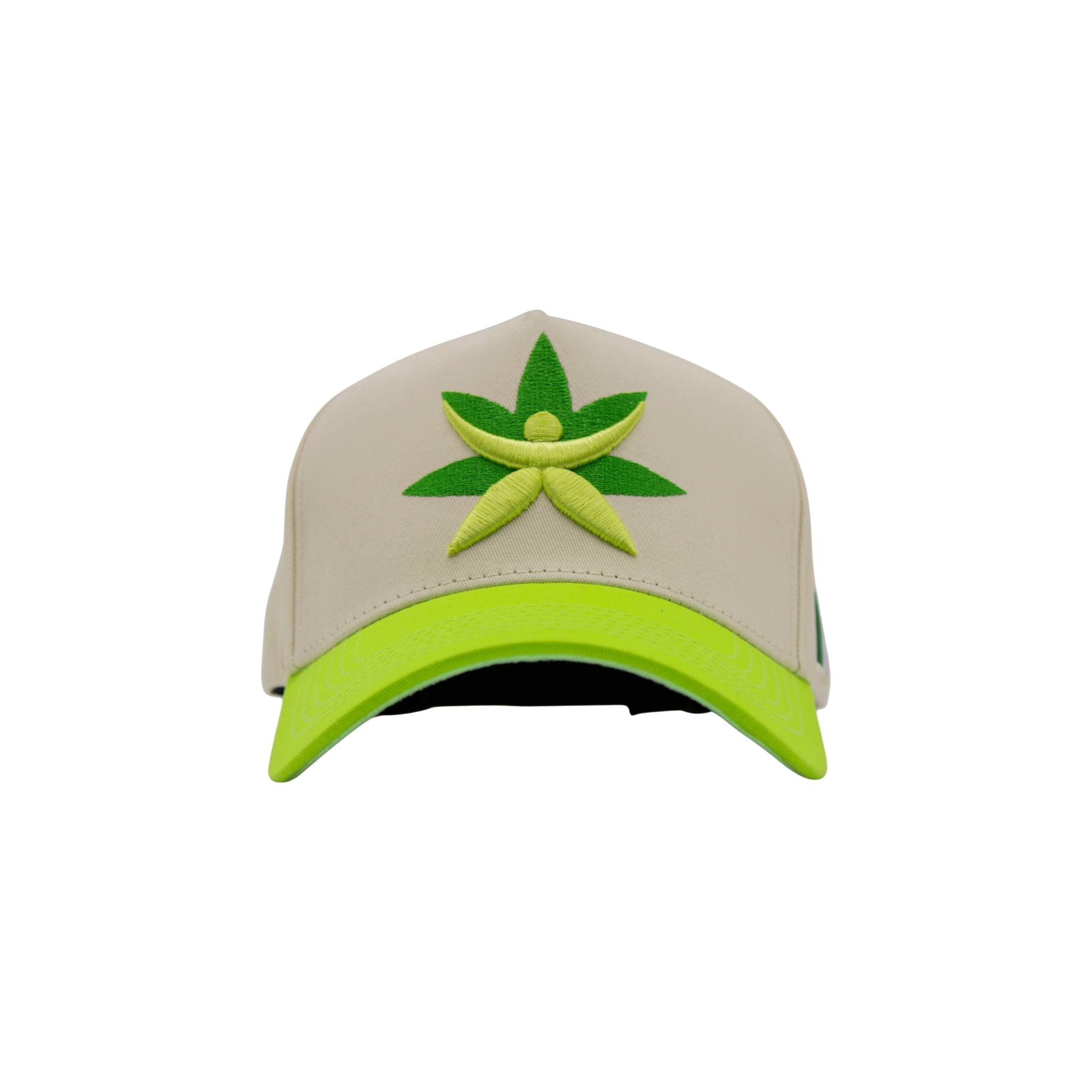 Gorra de Mtycaps en colaboración con Paradise