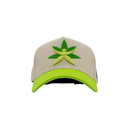 Gorra de Mtycaps en colaboración con Paradise