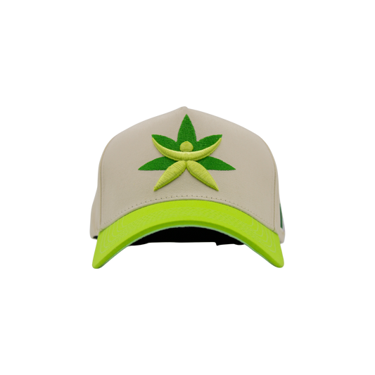 Gorra de Mtycaps en colaboración con Paradise